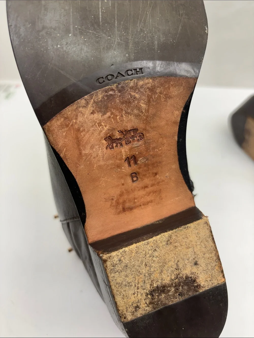 Coach Coleen Leather Ankle Boots with Gold Buckle, size 8, box 74
